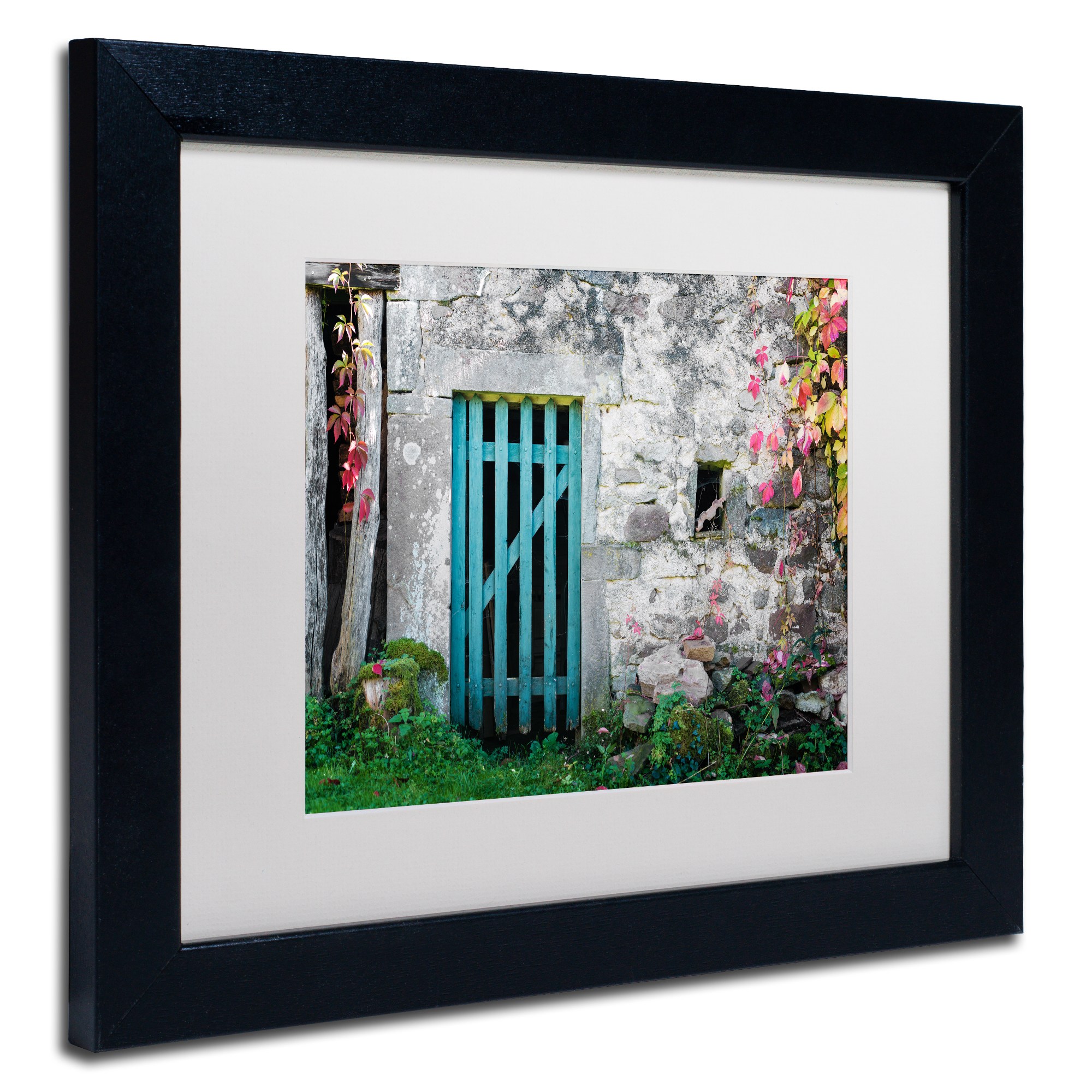 Trademark Fine Art "The Old Wooden Door" Canvas Art by Philippe Sainte-Laudy White Matte, Black Frame