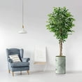 thumbnail image 2 of Artificial Tree in Modern Planter, Fake Ficus Silk Tree for Indoor and Outdoor Home Decoration - 66" Overall Tall (Plant Pot Plus Tree), 2 of 5