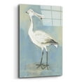 thumbnail image 2 of Epic Art 'Sea Bird 1' by Stellar Design Studio, Acrylic Glass Wall Art, 16"x24", 2 of 8