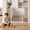 29.5-40.5"L x 30"H, variant on edx Walk-Through Baby Safety Gate for Stairs and Doorways, 30"-41" Auto Close Metal Gate for Kids/Dogs, Pressure or Hardware Mount, No Drilling
