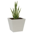 thumbnail image 1 of Maceta Cuadrada Elly Decor Clavel con Drenaje Color Blanco 30 x 30 cm, 1 of 6