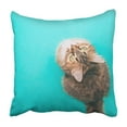 thumbnail image 1 of RYLABLUE Housse de Coussin Chat Assis à l'Envers 16x16 Pouces, 1 of 2