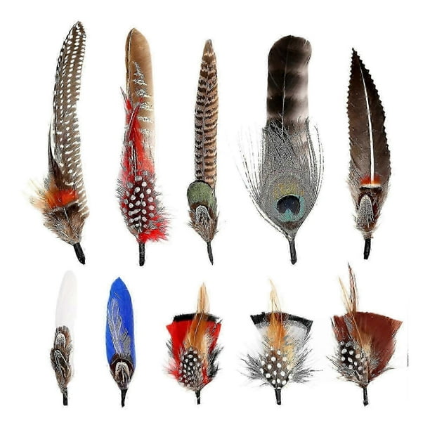 Plumas para sombreros, plumas surtidas, plumas para sombreros de vaquero, plumas para manualidades, plumas para fedora, decoración, centros de mesa, manualidades y accesorios.