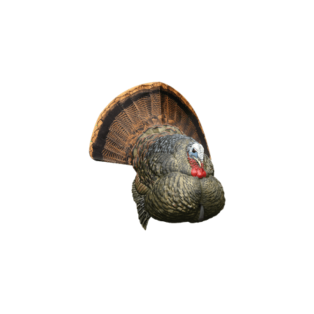 Avian X LCD Strutter Turkey Decoy AVX8004