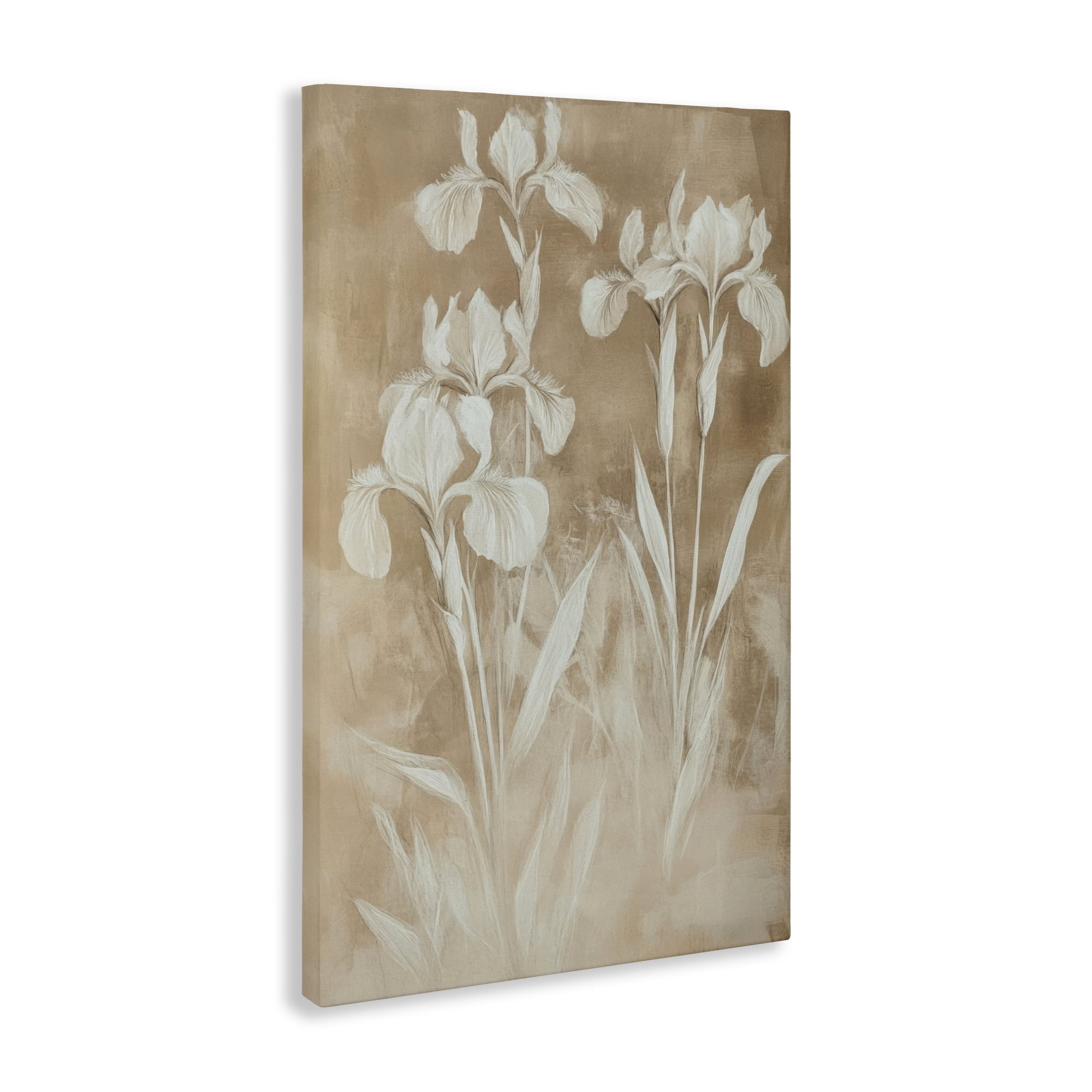 Stupell Industries Neutral Iris Botanical Study Canvas Wall Art, design by Petal Prints Design