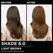 Garnier Olia Oil Powered Permanent Hair Color, 6.0 Light Brown