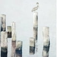 thumbnail image 2 of Nawrocke, Bruce 15x15 White Modern Wood Framed Museum Art Print Titled - Perched Pelican, 2 of 4