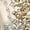 Gold, variant on Sparkly Shoes for Girls Princess Shoes Girls Heels Princess Dress Up Shoes Little Girl Dress Shoes Cinderella Shoes for Girls (Gold,12.5 )
