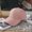 Pink, variant on Minimalist Letter R Embroidered Baseball Cap, Beige Cotton Casual Hat-Beige