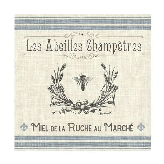 Trademark Fine Art 'French Farmhouse III' Canvas Art by Pela Studio