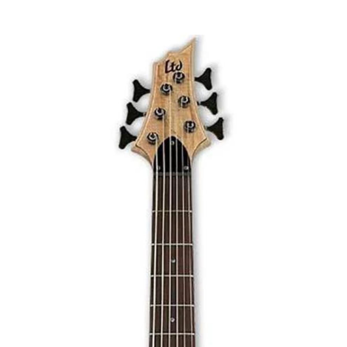 ESP LTD B-206SM Spalted Maple 6-String Bass Guitar, Natural