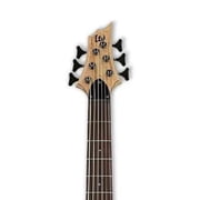 ESP LTD B-206SM Spalted Maple 6-String Bass Guitar, Natural Satin
