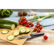 Kuhn Rikon ICED Serrated Paring Knife 3.5-Inch, Ice Hardened German Stainless Blade