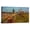Path Through a Field with Willows, variant on Vincent Van Gogh Painting Van Gogh Thatched Sandstone Cottages in Chaponval Canvas Wall Art