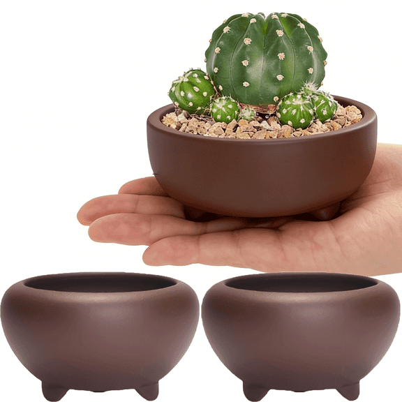 Mini Sandstone Garden Planter Pots, Succulent Planters, Set of Flower Pots with Drainage, Modern Decorative Garden Pots for Porch, Patio, Front Door(2pack)