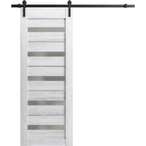 Slab Barn Door Panel 24 x 84 inches | Lucia 2166 Matte Black Clear Glass | Sturdy Finished Interior Doors | Pocket Closet Sliding