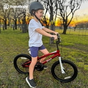Royalbaby Boys Girls Kids Bike 14 In BMX Freestyle Black 2 Hand Brakes Bicycles with Training Wheels Child Bicycle
