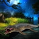 thumbnail image 3 of Juguete de Dinosaurio Marino de Natación Realista Sunnimix Colección de Plástico educativo Kronosaurus, 3 of 8