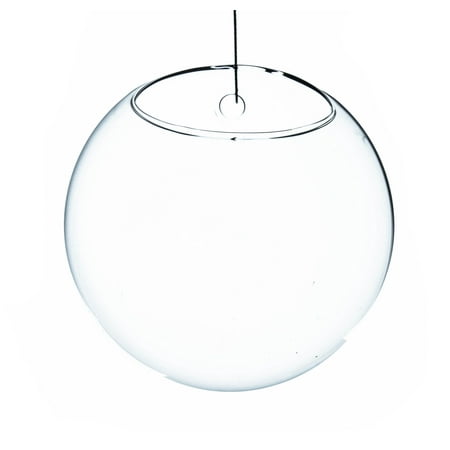 WGV Half Round Wall Hanging Terrarium - 6" Wide x 4" Depth, Good quality, Heavy Weighted Base - 1 Pc