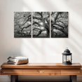 thumbnail image 2 of Elephant Stock Monochrome Angel Oak Tree Wall Art - Horizontal Multi Panel Canvas - Living Room Wall Decor - Floral And Botanical Multi Panel - Black And Gray Decor - 26" x 12", 2 of 8