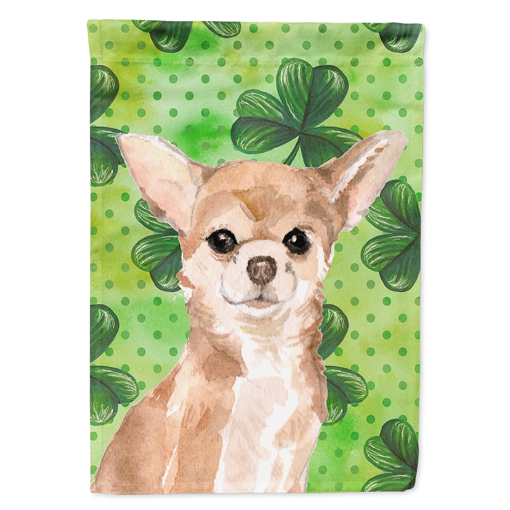 st patricks day pictures of chihuahua