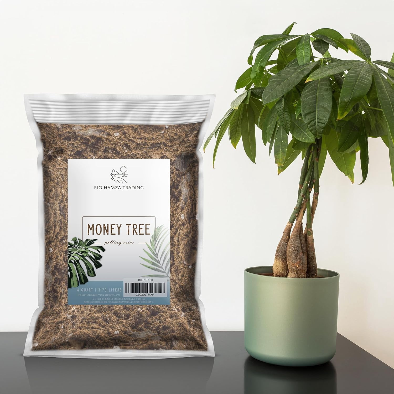 Money Tree (4 Quarts), Potting Mix for Planting/Repotting Pachira Aquatica, All-Natural Custom Blend