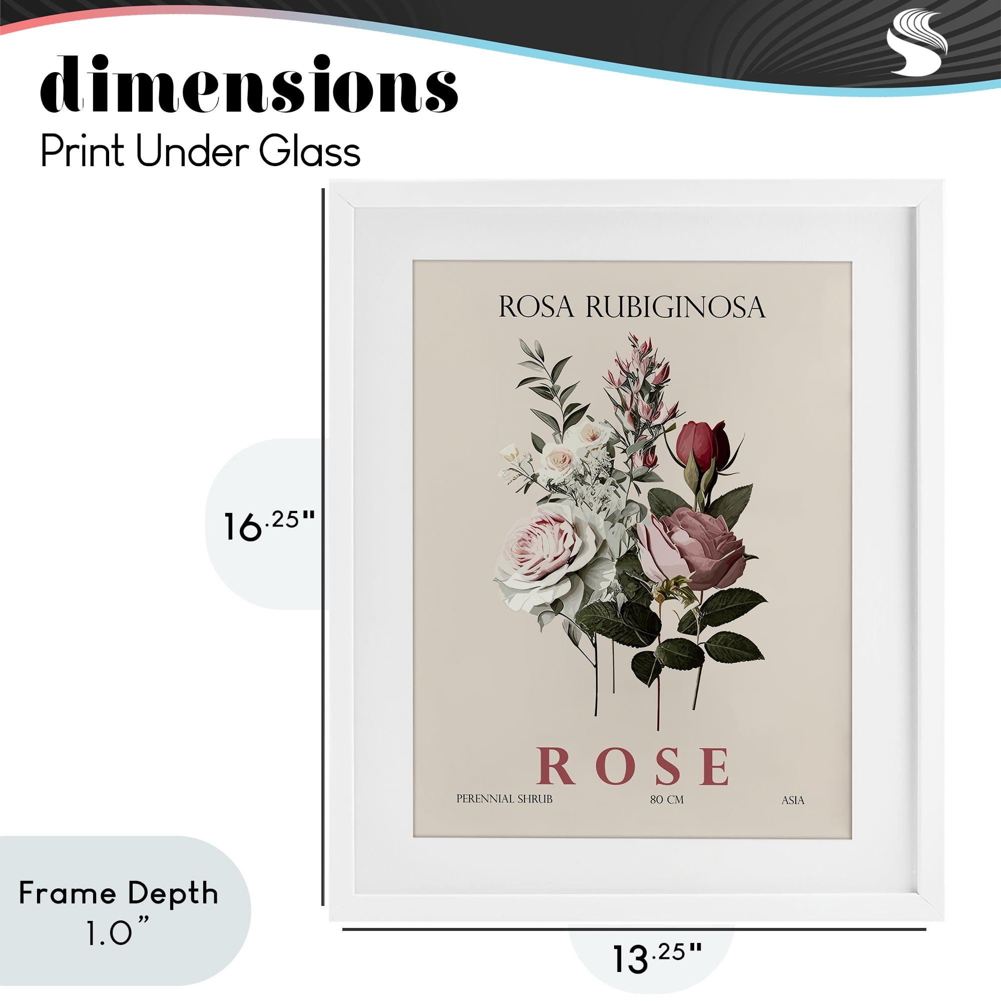 Stupell Industries Natural Rose Bundle White Framed Print Under Glass, design by Christopher Giampietro