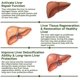 thumbnail image 5 of Vegan Liver Cleaning Nasal Herbal Box, 5 Flavors Nasal Herbal Box For Liver,vegan Liver Cleanse Detox Repair Nasal Herbal Box, 5 of 5