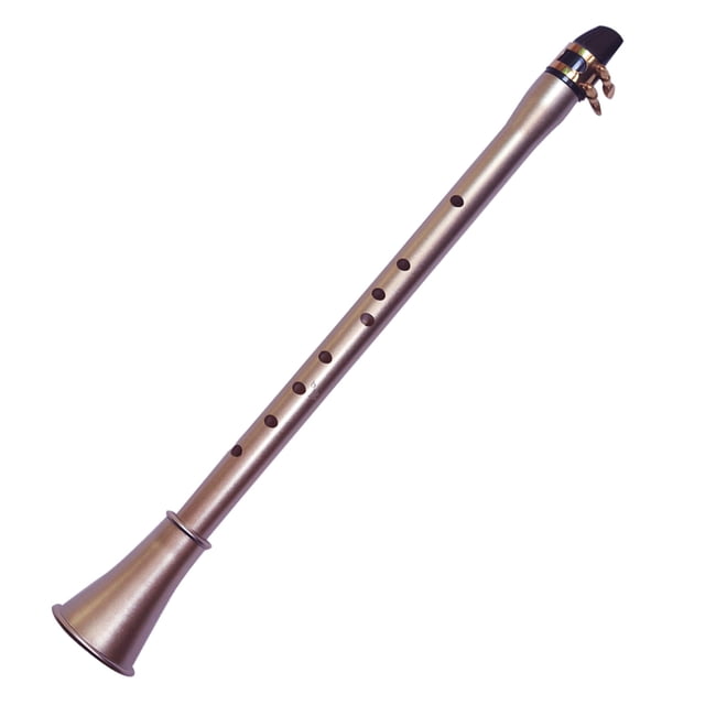 Yeacher Pocket Saxophone ABS Sax Mini Portable Saxophone Little Saxophone With Carrying Bag Woodwind Instrument