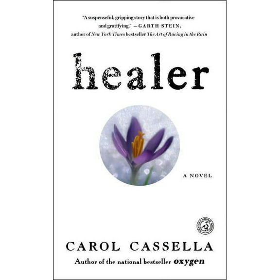 Healer : A Novel (Paperback)