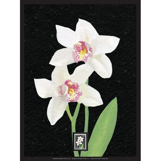 Cymbidium Orchid Flower Flower Framed Wall Art With Postage Stamp Walmart Com Walmart Com