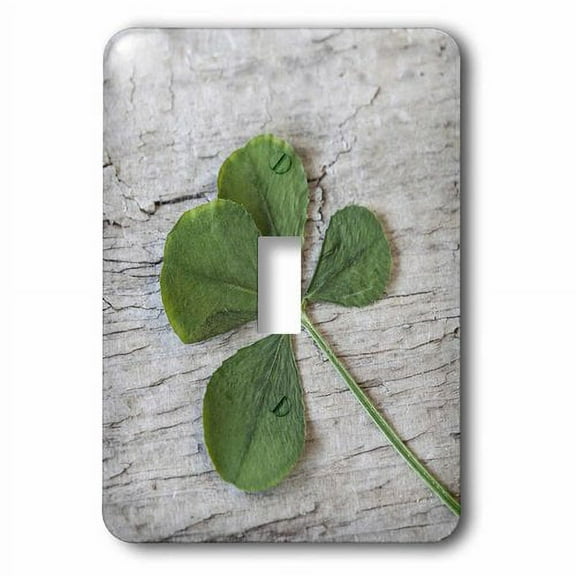 3dRose, Dried Four Leaf Clover Close Up, single toggle switch