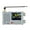 White, variant on DP-666 TEF6686 FM/LW/MW/SW Full Band Radio High Sensitivity DSP Receiver
