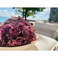 thumbnail image 3 of Dried purple sea moss | ocean harvested and sun-dried in the remote Grenadine Islands, 3 of 6