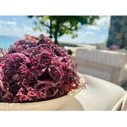 Dried Purple SeaMoss 3oz | Direct ocean to you | Makes 60oz sea moss gel