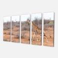 thumbnail image 2 of Giraffe Walking through African Forest - Animal Canvas Art Print, 2 of 3