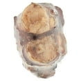 thumbnail image 5 of Ultra Chewy Beef Shin Bone Dog Chew, 5 of 5