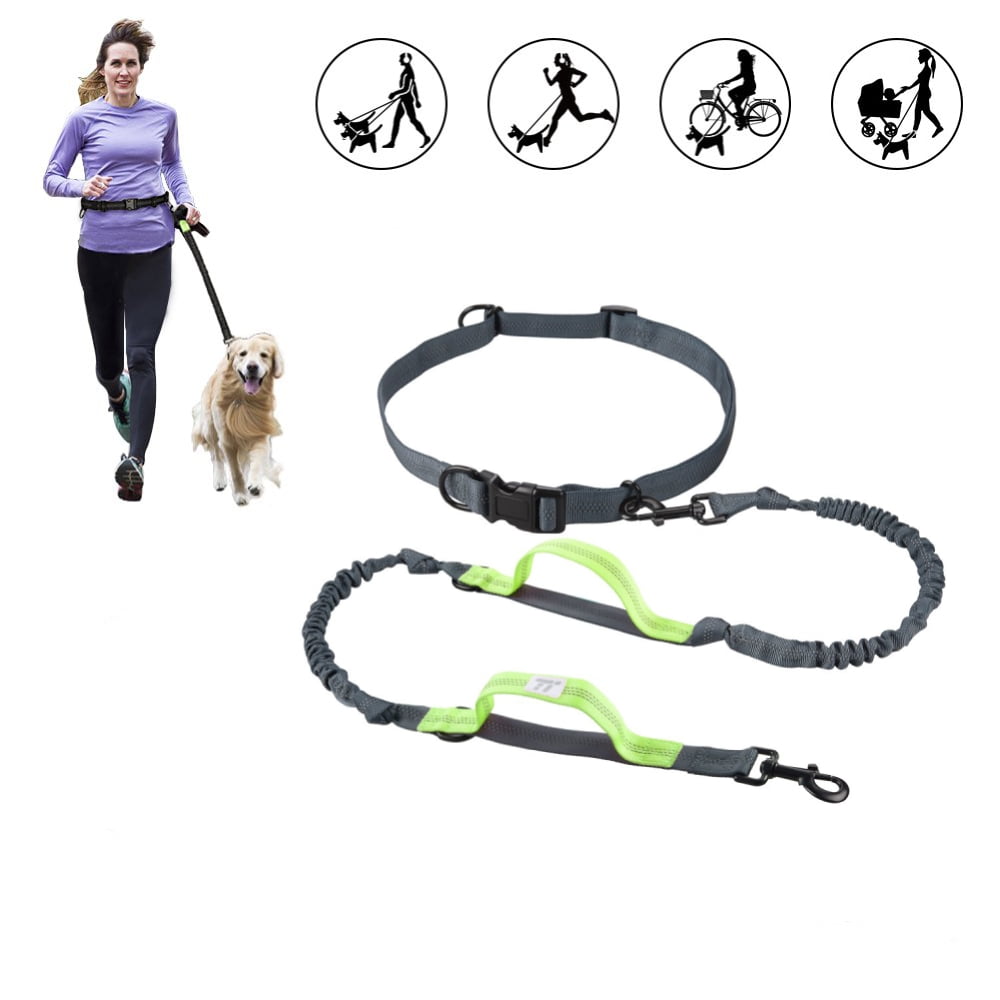 retractable dog leash waist belt