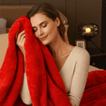 thumbnail image 2 of DBOZE Thick & Warm Korean Fleece Blanket – Extra Large 85"×95" – Ultra Soft Raschel Blanket for Winter, Luxury Embossed Design, 2 of 5