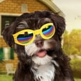 thumbnail image 5 of Dog Sunglasses Small Dog Polarized Sunglasses Wind Proof Pet Goggles Adjustable Folding Glasses Dog Place Accessories Ground For Dogs Dog Accessories Nearby Dog Accessories 24 Puppy Accessories Set, 5 of 7