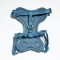 thumbnail image 3 of Vibrant Life Mesh Cat Harness & Leash Set, Blue, One Size Fits Most, 3 of 7