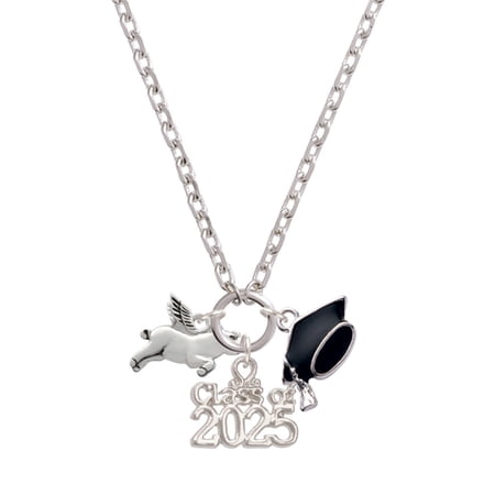 Delight Jewelry Silver-tone Flying Pig - Silver-tone Class of 2025 Graduation Zoey Necklace, 28"
