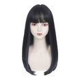 thumbnail image 1 of XIAQUJ Perruque Femme Longue Droite Fibre Mèches Perruque Filet Perruque Teinte à l'Oreille Ensemble Queue de Cheveux Boucle Intérieure Cheveux Longs, 1 of 3