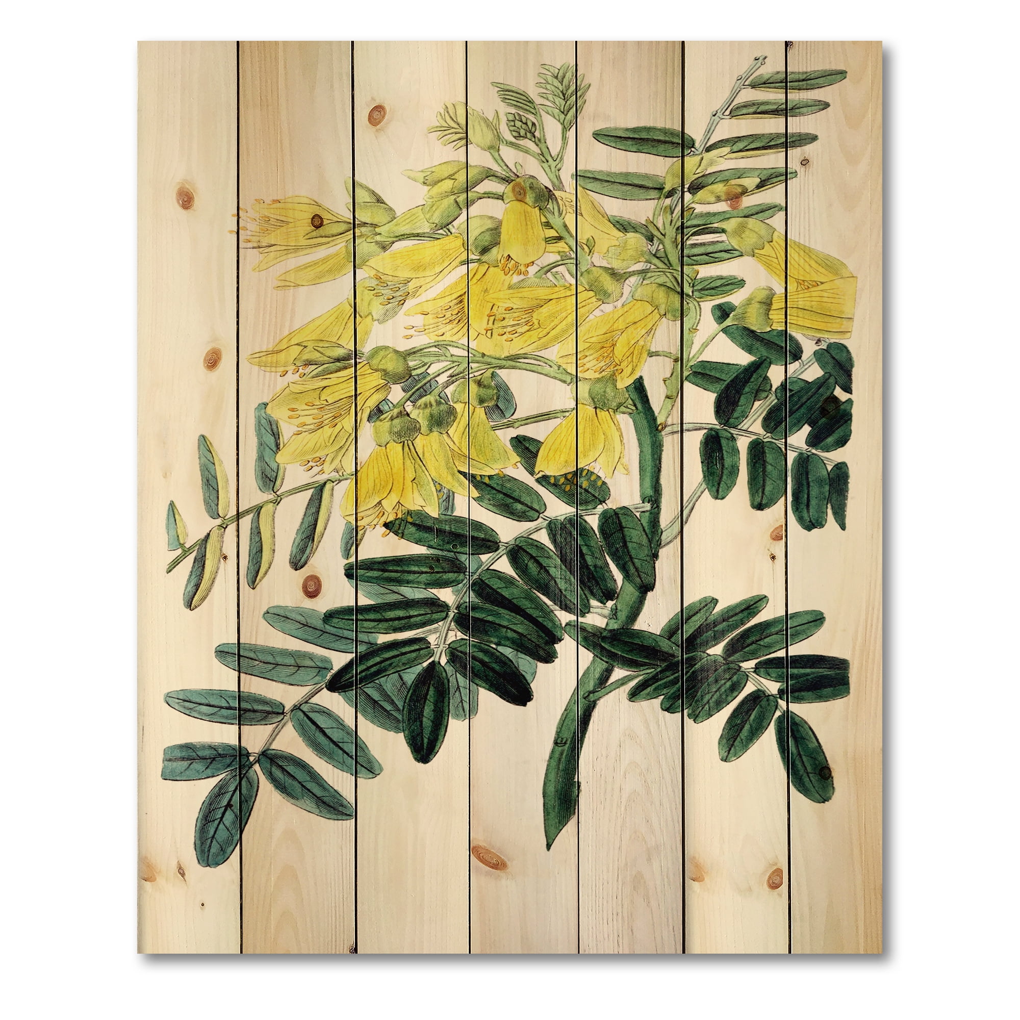 Designart 'Ancient Yellow Flower II' Traditional Print on Natural Pine Wood