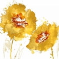 thumbnail image 3 of Austin, Vanessa 20x20 Black Modern Framed Museum Art Print Titled - Flower Burst in Amber II, 3 of 5