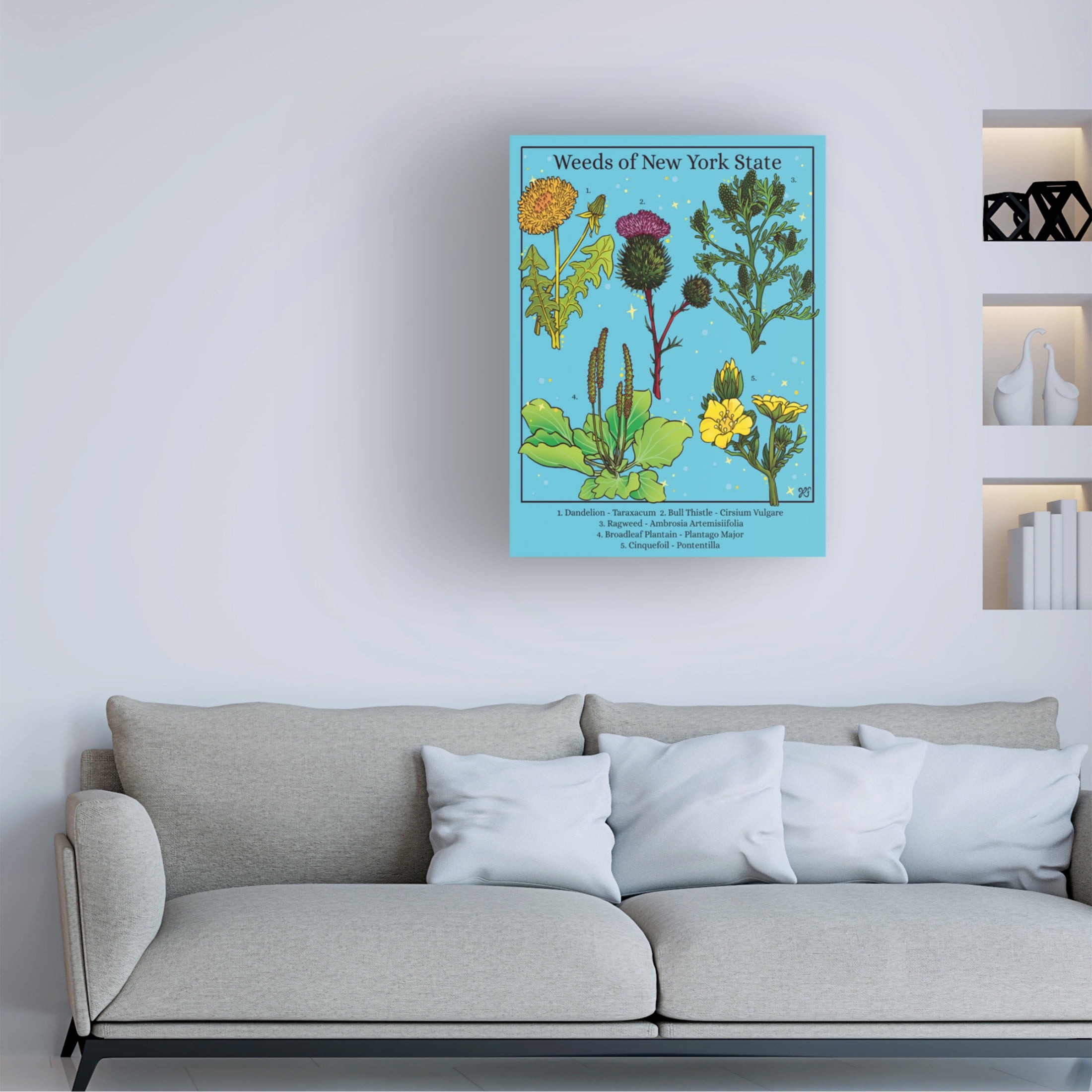 Canvas Wall Art - Rachel Feirman 'Weeds of New York State' Wall Art for Living Room, Bedroom, or Office Décor by Trademark Fine Art - 18 x 24 Inches