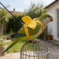thumbnail image 4 of zhonghuaying Pet Birds Harness and Leash Flight Suit Harness Vest Outdoor Activity Fly Training Clothes for Cockatoo Parakeets Flight Suit and Leash(L,Yellow), 4 of 4