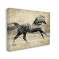 thumbnail image 3 of Stupell Industries Western Galloping Horse Portrait Graphic Art Gallery Wrapped Canvas Print Wall Art, Design by Tina Blakely, 3 of 7