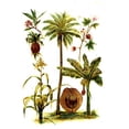 thumbnail image 4 of The Shaving Co 4 Shaving Creams Coco Lavanda Sandalo Menta amarillo 1, 4 of 9