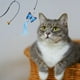 thumbnail image 4 of 2 uds puerta colgante que rebota gato juguete gatito mascota juguete lindo juguete, 4 of 5